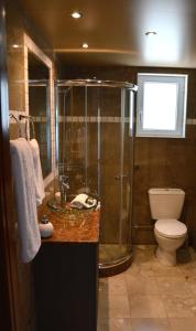 a bathroom with a shower and a sink and a toilet at Marathon Eco Stay in Marathon