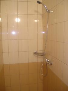 ヴェルケー・ビーロヴィツェにあるVINAŘSTVÍ DAVID OSIČKAのバスルーム(シャワー、シャワーヘッド付)が備わります。