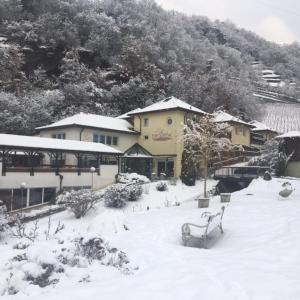 Hotel Rierhof during the winter