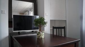 - une télévision assise au-dessus d'une table avec une plante dans l'établissement PREMIUM Hostel, à Berlin