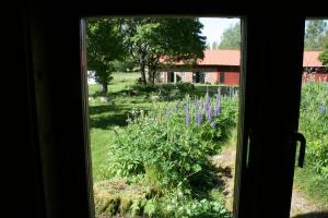 Zahrada ubytování Ahornfarm Håkannäs