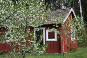 Zahrada ubytování Ahornfarm Håkannäs