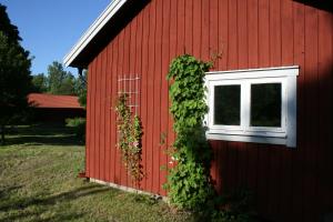 Zahrada ubytování Ahornfarm Håkannäs