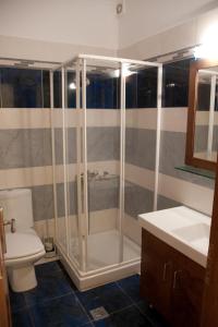 a bathroom with a shower and a toilet at Rastoni Apartments in Kissamos