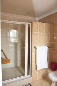 a bathroom with a glass shower with a toilet at SJ's Self-Catering in Kuilsrivier