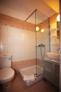 a bathroom with a shower and a toilet and a sink at Ktima Kehrioti in Panormos Skopelos