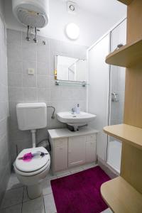 a bathroom with a white toilet and a sink at Apartma Žusterna in Koper