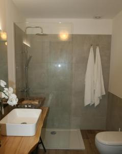 ein Bad mit einer Dusche, einem Waschbecken und einem WC in der Unterkunft Civico1A1 in Veternigo