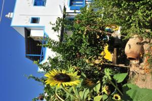 a bunch of flowers in front of a building at Pension Titika in Katapola