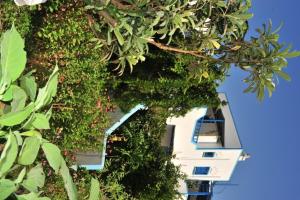 a building covered in green plants and a building at Pension Titika in Katapola