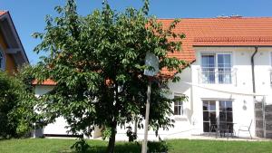 uma casa branca com uma árvore em frente em "Villa Sabine" em Waidhaus