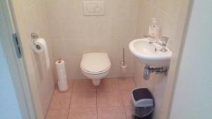 małą łazienkę z toaletą i umywalką w obiekcie Uut in Thuus w mieście Buren