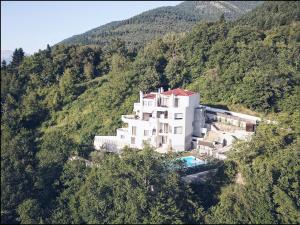 a large building on the side of a mountain at Forest Suites Boutique Hotel in Méga Khoríon