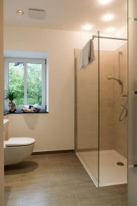 La salle de bains est pourvue d'une cabine de douche en verre et de toilettes. dans l'établissement Hotel Wirtshaus am Schloss, à Aicha vorm Wald