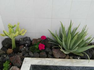 Kép tenerife pearl szállásáról Playa de las Américasban a galériában