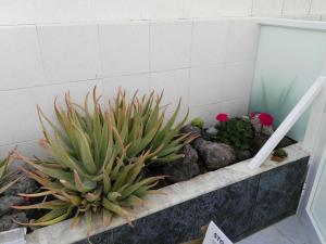 Kép tenerife pearl szállásáról Playa de las Américasban a galériában