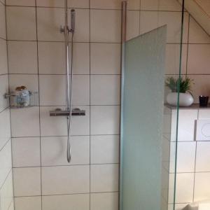 a shower with a glass door in a bathroom at Feriendomizil strasser in Homburg +12 photos