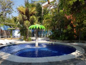 a small pool with a palm tree in the middle at Hotel Club del Sol Acapulco by NG Hoteles in Acapulco