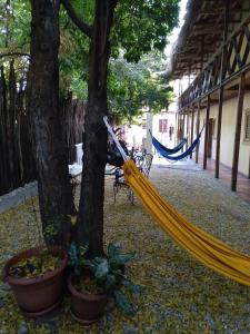 a hammock tied to a tree in a courtyard at Hotel Loro Tuerto in Santa Cruz de Barahona