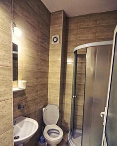 a bathroom with a toilet and a sink and a shower at Hanul Ursilor in Tîrgu Neamţ