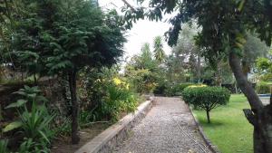 un jardin avec des arbres et des plantes et un chemin dans l'établissement Residencial Retiro Sra. da Luz, à Ponte de Lima
