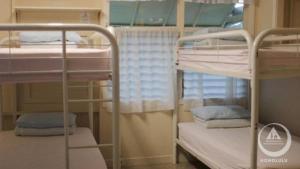 Zimmer mit 3 Etagenbetten in einem Schlafsaal in der Unterkunft Hostel Honolulu in Honolulu
