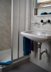 穆奧塔塔爾的住宿－Hotel Alpenblick Muotathal，浴室配有水槽和带蓝色毛巾的淋浴