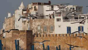 Gallery image of Dar Rahaothello in Essaouira