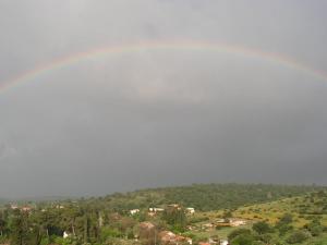Priroda u blizini brvnare