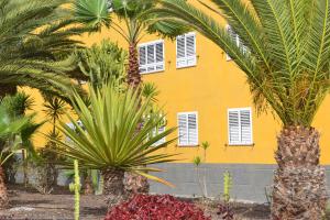 Κήπος έξω από το Fano's House - Habitaciones en vivienda particular