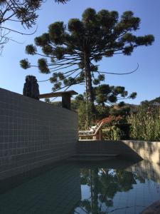 a swimming pool with a tree in the background at Pousada Casa de Mauá in Visconde De Maua