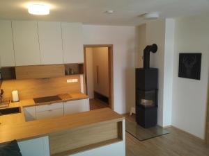 - une cuisine avec une cuisinière dans l'établissement Apartmány Sport Dolní Morava, à Dolní Morava 18 autres photos