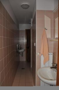 Koupelna v ubytování Pliskovica Youth Hostel