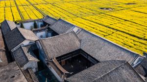 大理大理喜林苑 · 杨品相宅的相册照片
