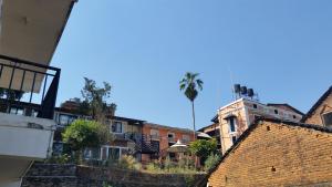 a palm tree in the middle of a city with buildings at Hotel Sanskaar in Bandipur