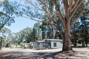 Gallery image of Eildon Pondage Holiday Park in Eildon