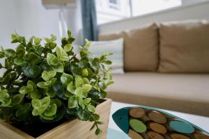 una scatola di legno con una pianta in vaso su un tavolo di MyHome Ruegen - Haus Arkona a Ostseebad Sellin Altre 13 foto