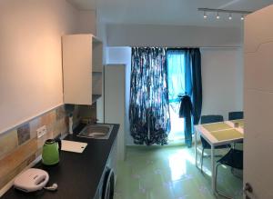 a small kitchen with a sink and a window at Green Apartment 6 in Bucharest +21 photos