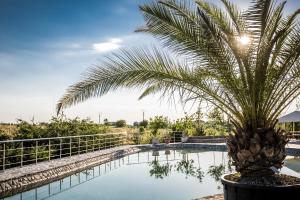 a palm tree sitting next to a swimming pool at Country Spa Retreat in Snagov