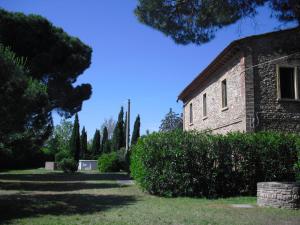 A garden outside Casaleaurelia