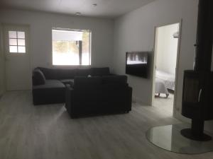 ein Wohnzimmer mit einem Sofa und einem TV in der Unterkunft Aurora Apartment Inari in Inari