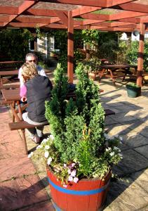 The Pelican Inn