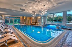 una grande piscina con sedie in un edificio di Hotel Eliseo Terme a Montegrotto Terme