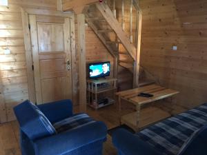 a living room with a couch and a tv in a cabin at Chalet Sofia in Borovets