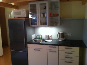 Kuchyňa alebo kuchynka v ubytovaní Executive Apartement Gastein