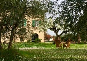 two giraffes in a grassy area next to a tree at Hotel Palazzo di Valli in Siena