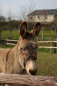 Φωτογραφία από το άλμπουμ του Le Verger B&B σε Gorron +9 φωτογραφίες