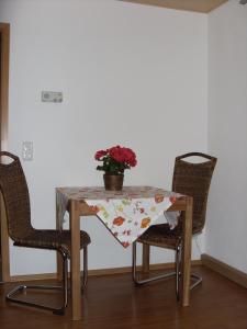 een tafel met twee stoelen en een plant erop bij Ferienwohnung Frenkel in Freital