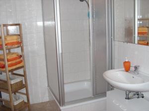 een badkamer met een douche en een wastafel bij Ferienwohnung Frenkel in Freital