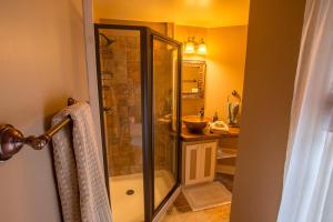 a bathroom with a shower and a sink at Snow Goose Bed and Breakfast in Keene Valley